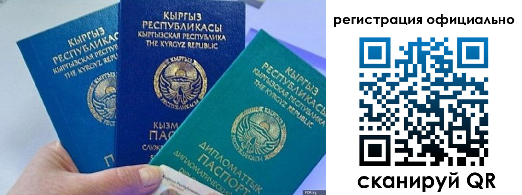 прописка в Дубне